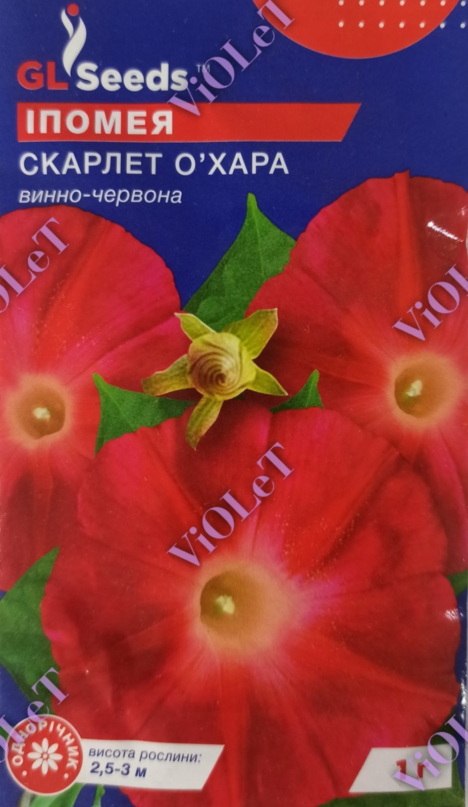 Іпомея Скарлет О'хара винно-червона, 1 г GL Seeds