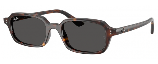 RAY-BAN RB 4455 135987 52