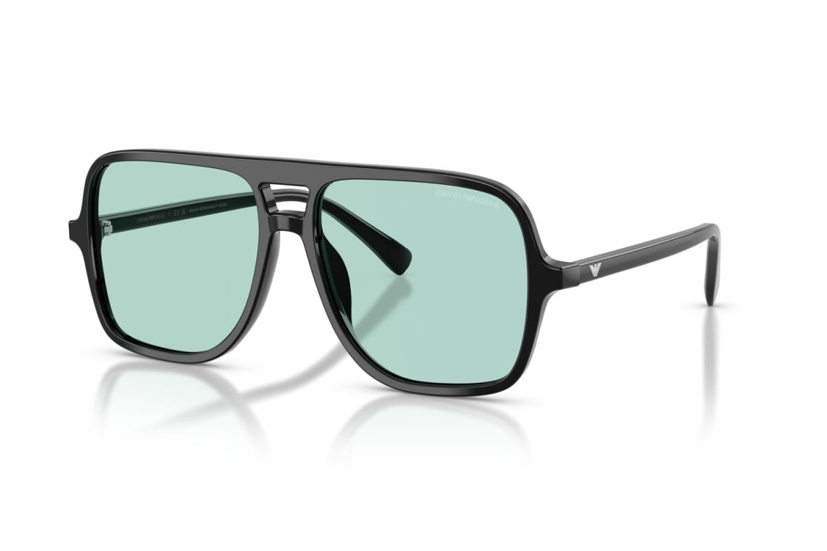 EMPORIO ARMANI  EA 4252U 501765 57