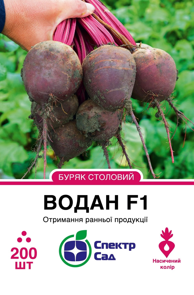 Столовий буряк Водан F1, 200 шт