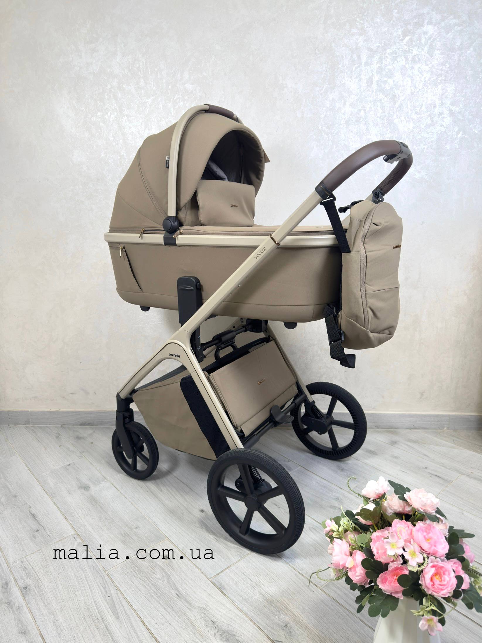 Коляска 2 в 1 Carrello Vector CRL-6550 2в1 Walnut Beige