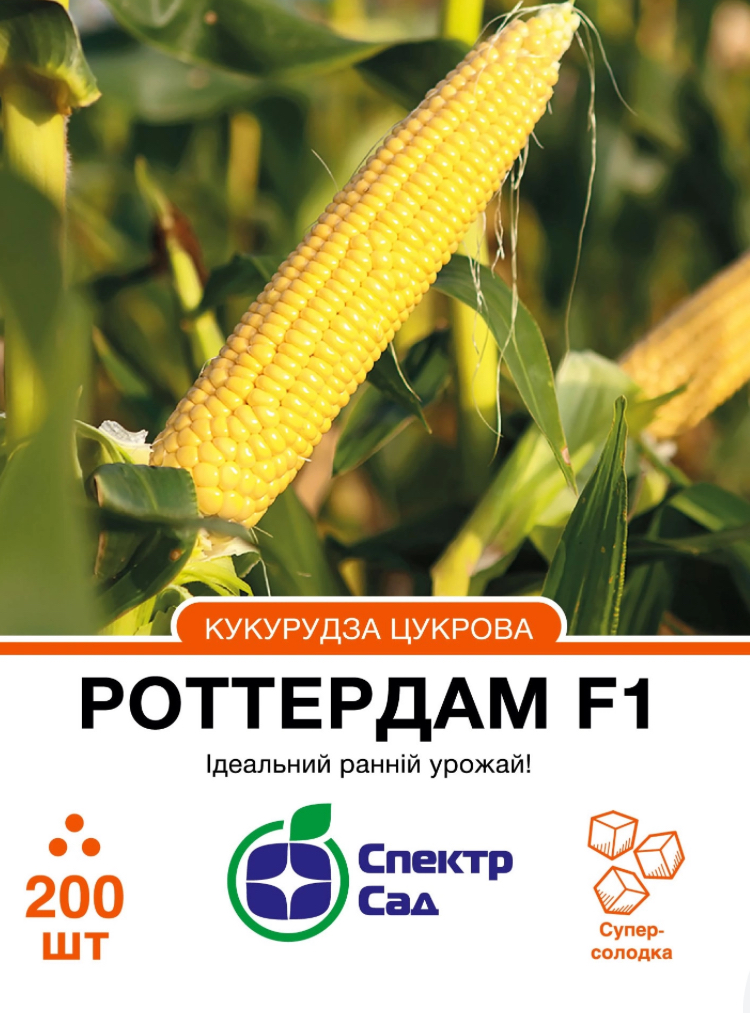 Цукрова кукурудза Роттердам F1, 200 шт