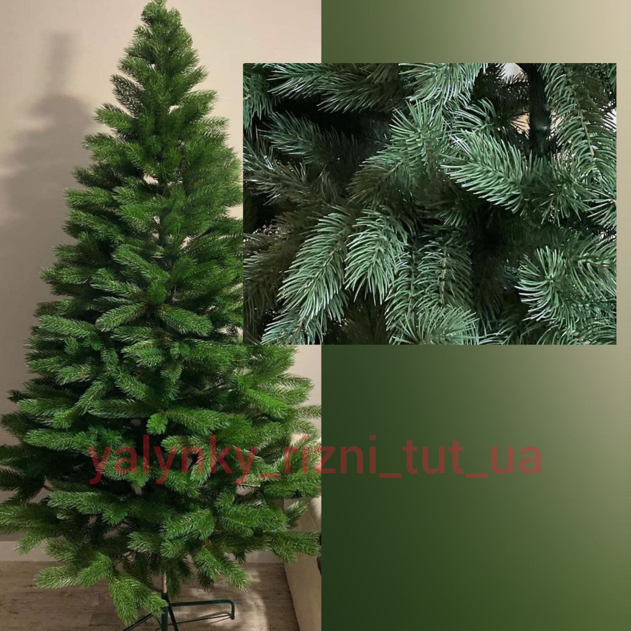 Ялинка Буковельська Лита Зелена