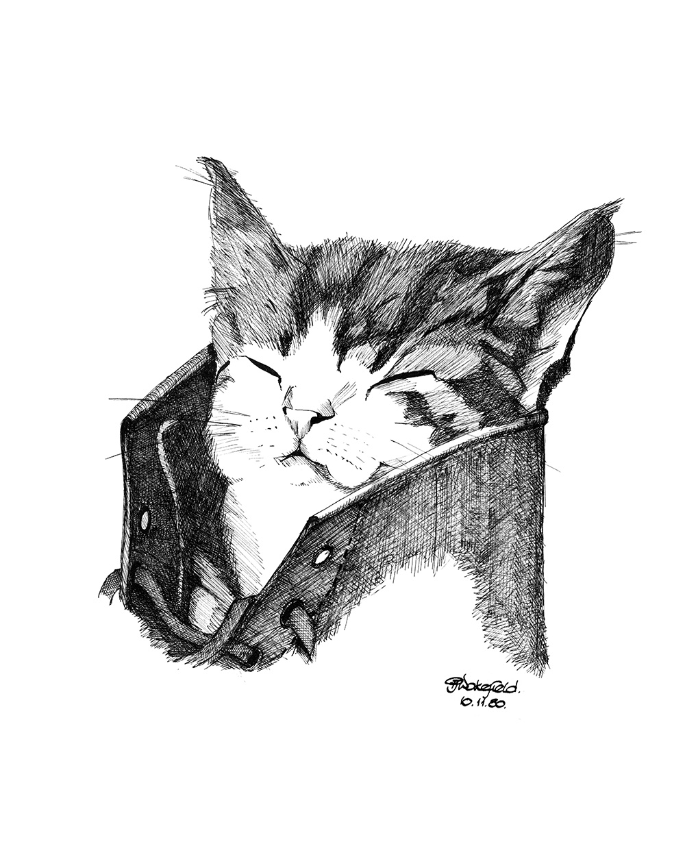 KItten In Boot