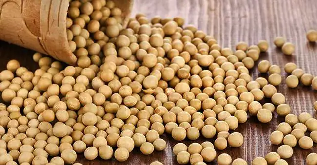 Соєвий ізолят