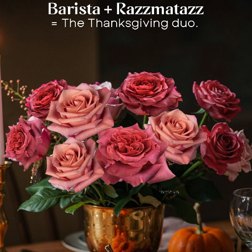 Раззматец - Razzmatazz