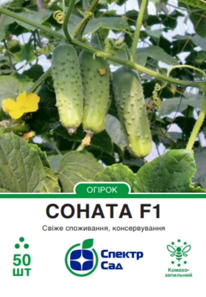 Огірок Соната F1, 50 шт
