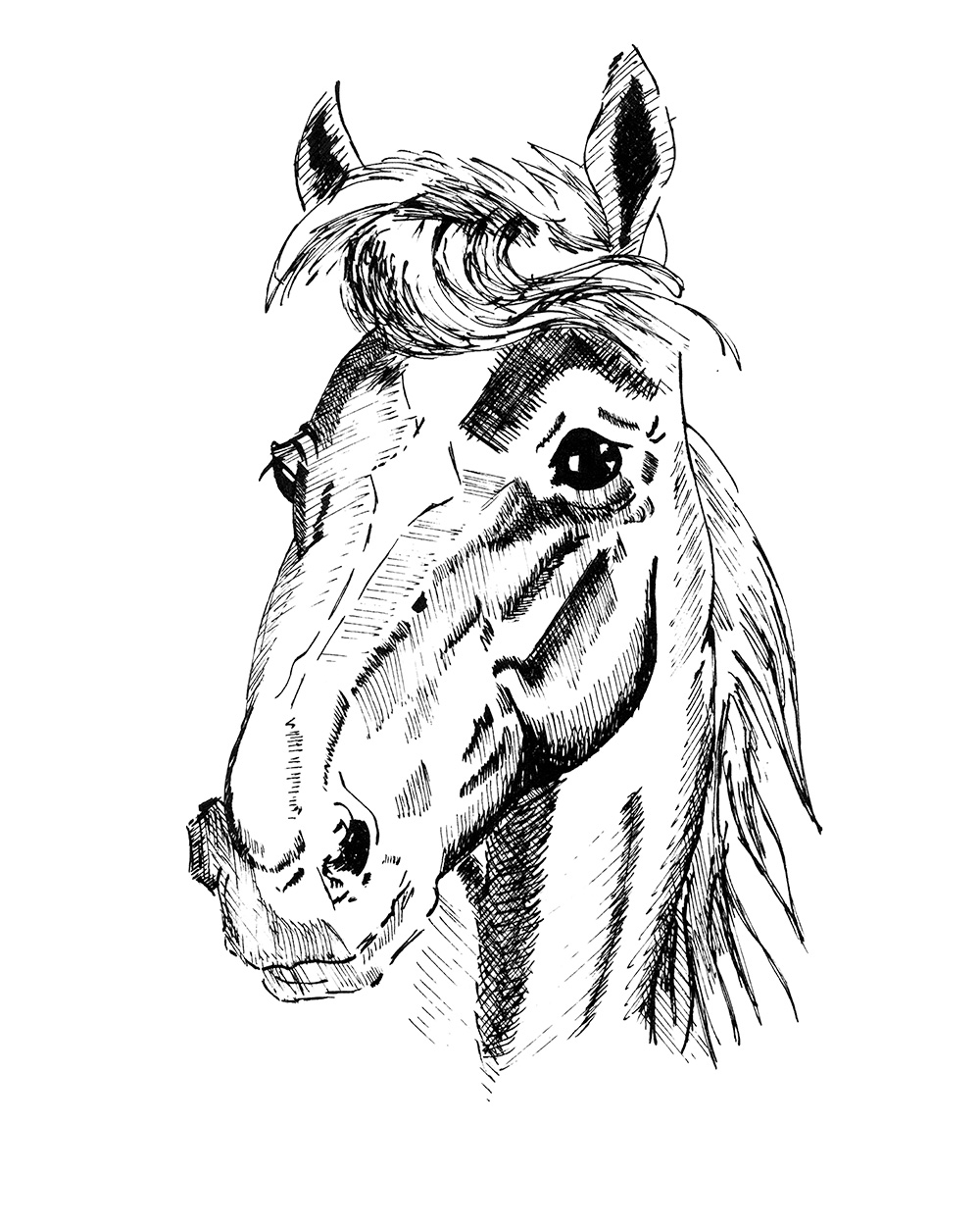 Pony