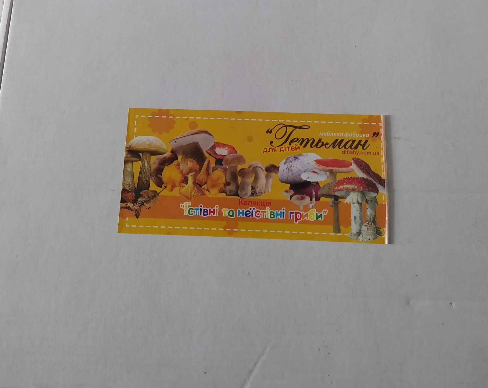 Колекція 