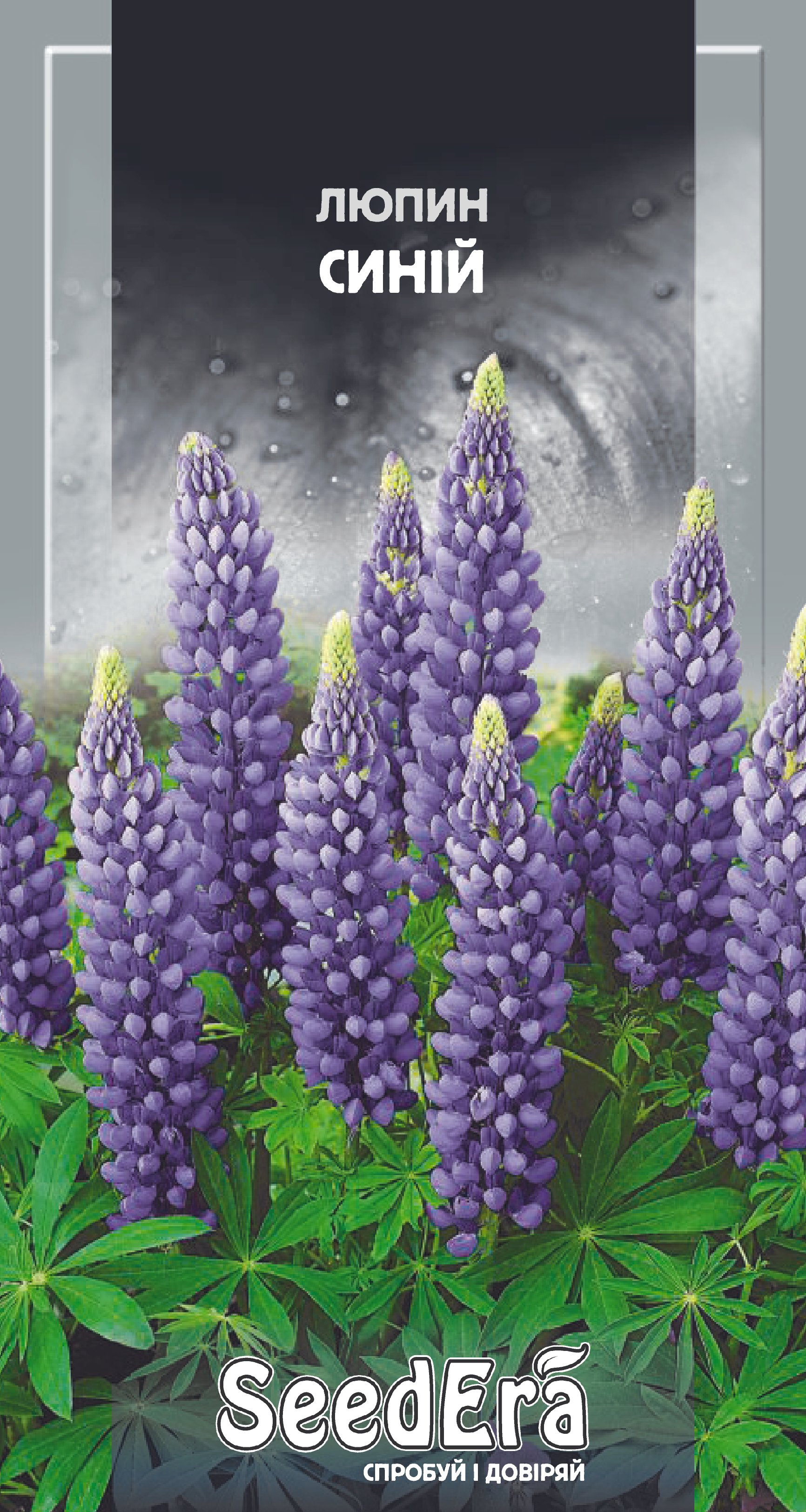 Насіння Квіти Люпин синій багаторічний, 0,5 г