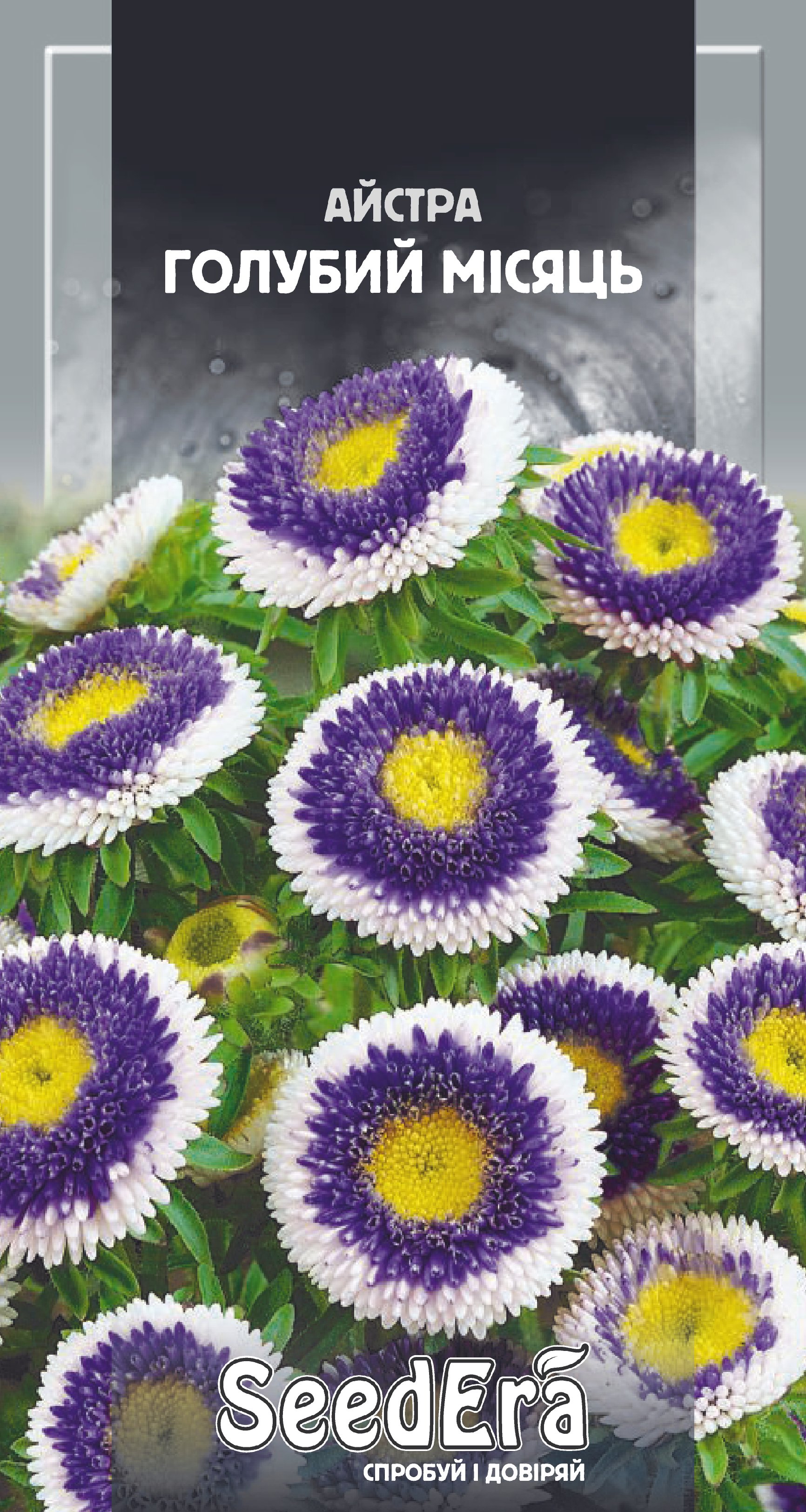 Насіння Квіти Айстра середньор. Голубий місяць, 0,25 г (синя з білим)