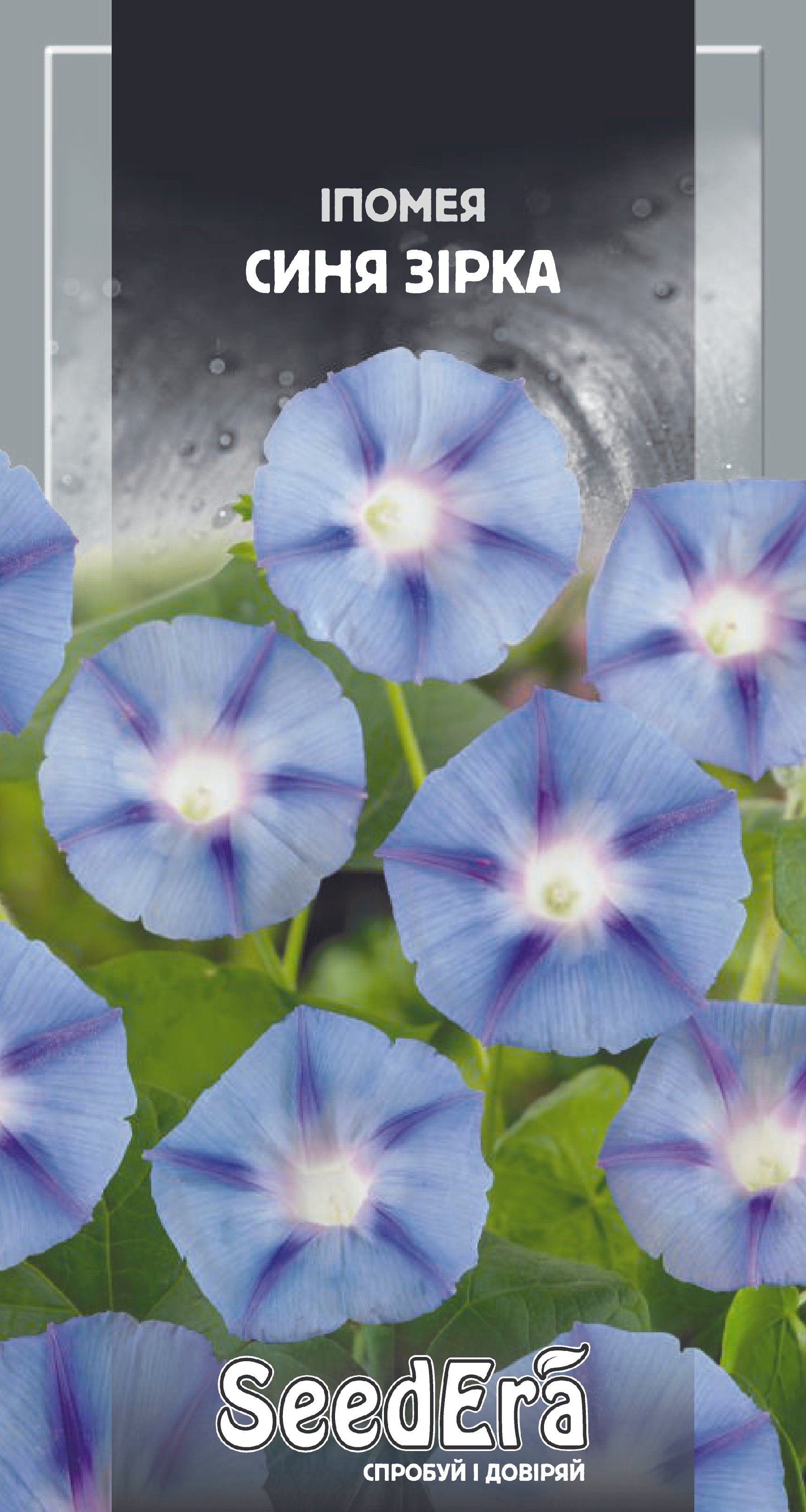 Насіння Квіти Іпомея Синя Зірка, 1г