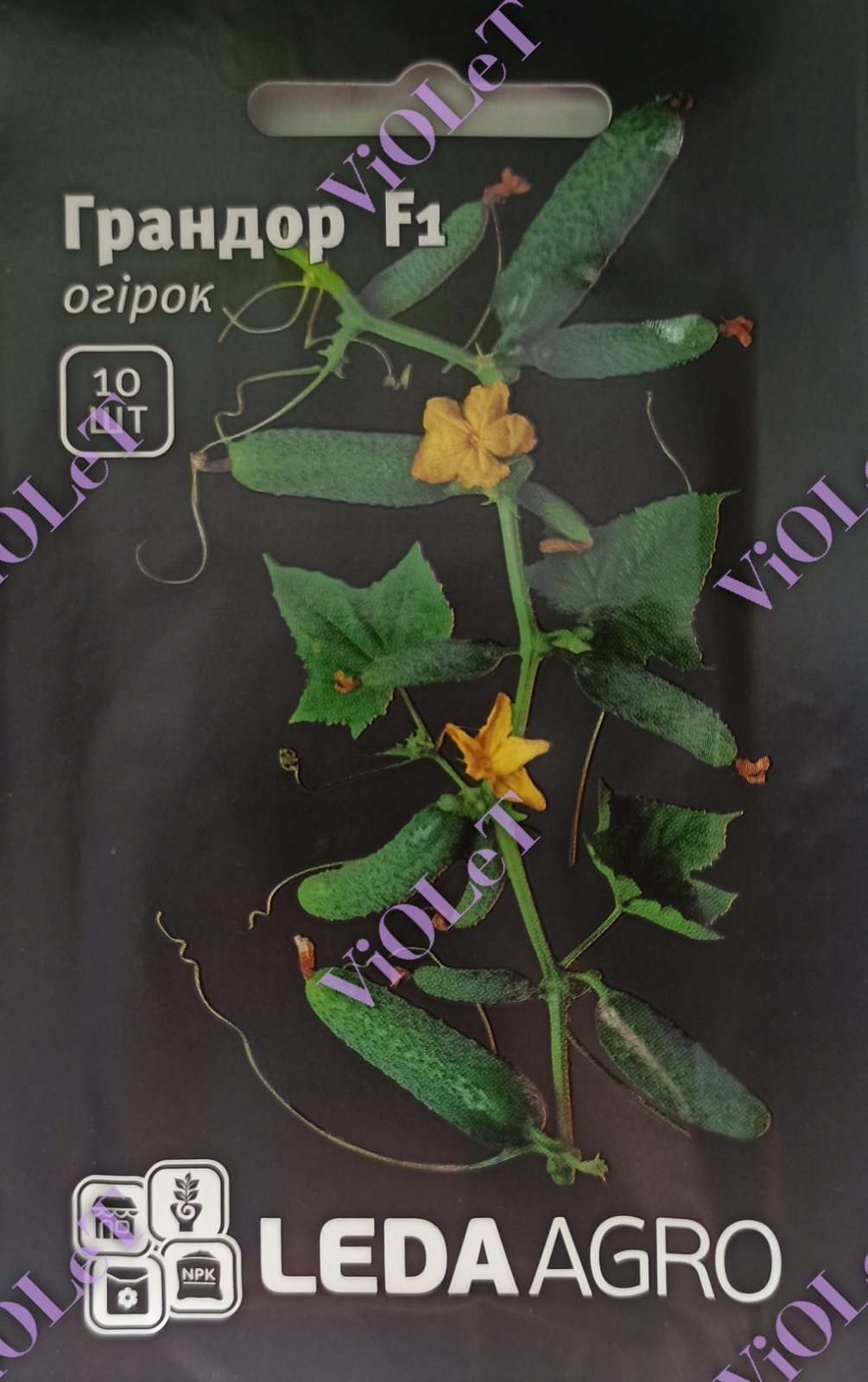 Огірок Грандор F1, 10 шт. Leda Agro