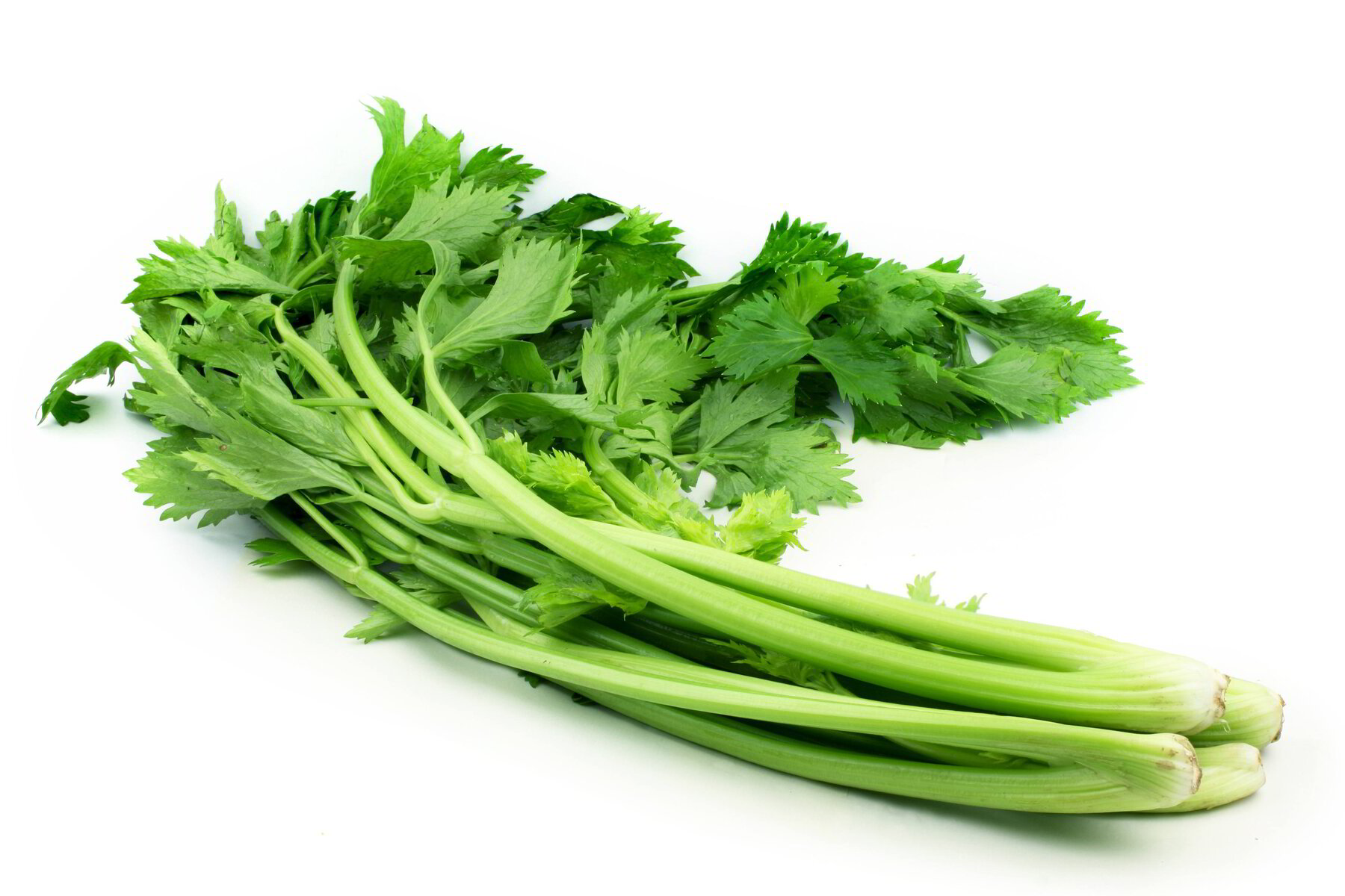 Groene Selder | 2,00€ | per/stuk