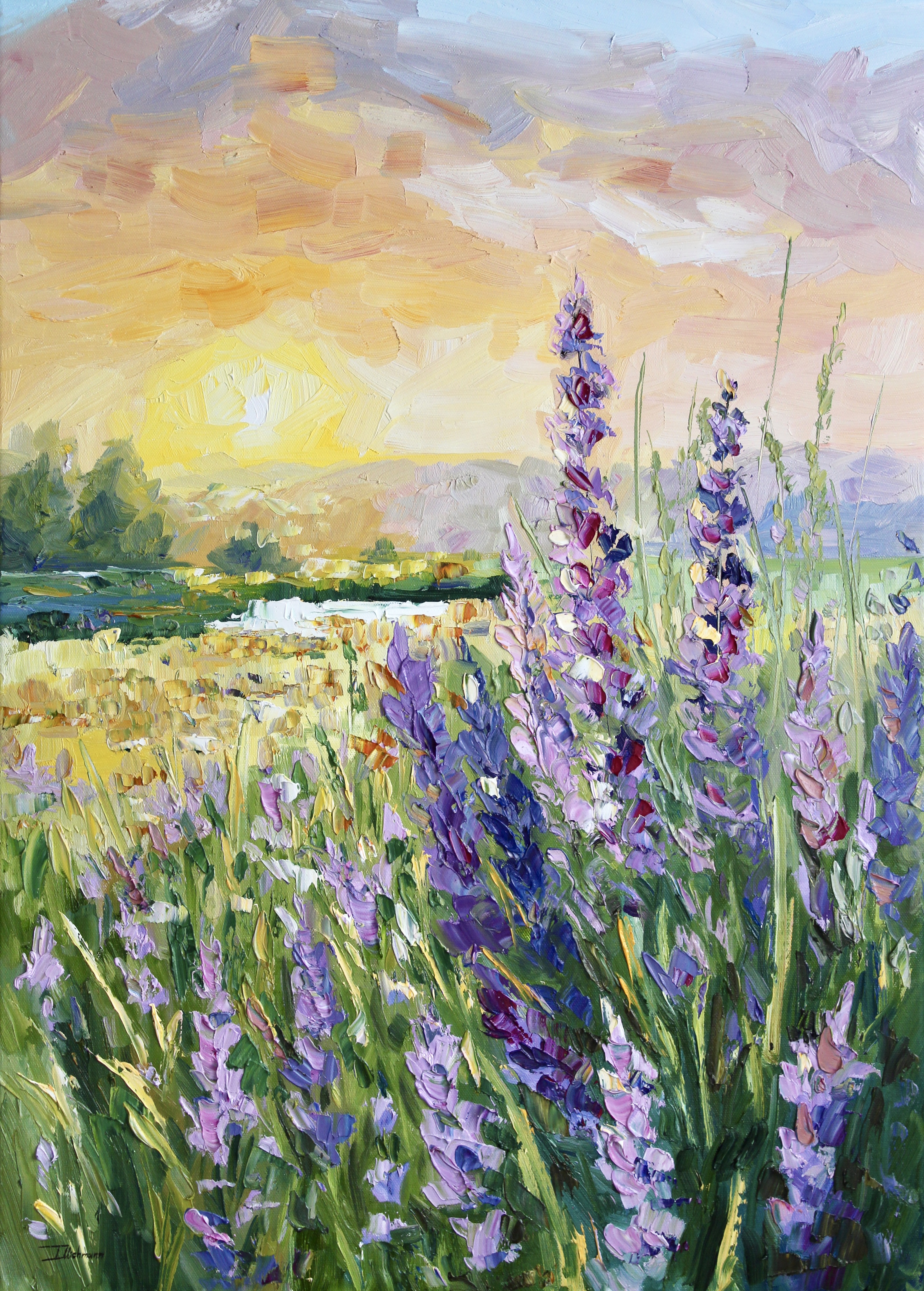 Lupines