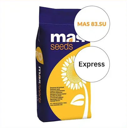 Насіння соняшнику MAS 83.SU MAS Seeds, насіння високоврожайного соняшнику Мас сідс