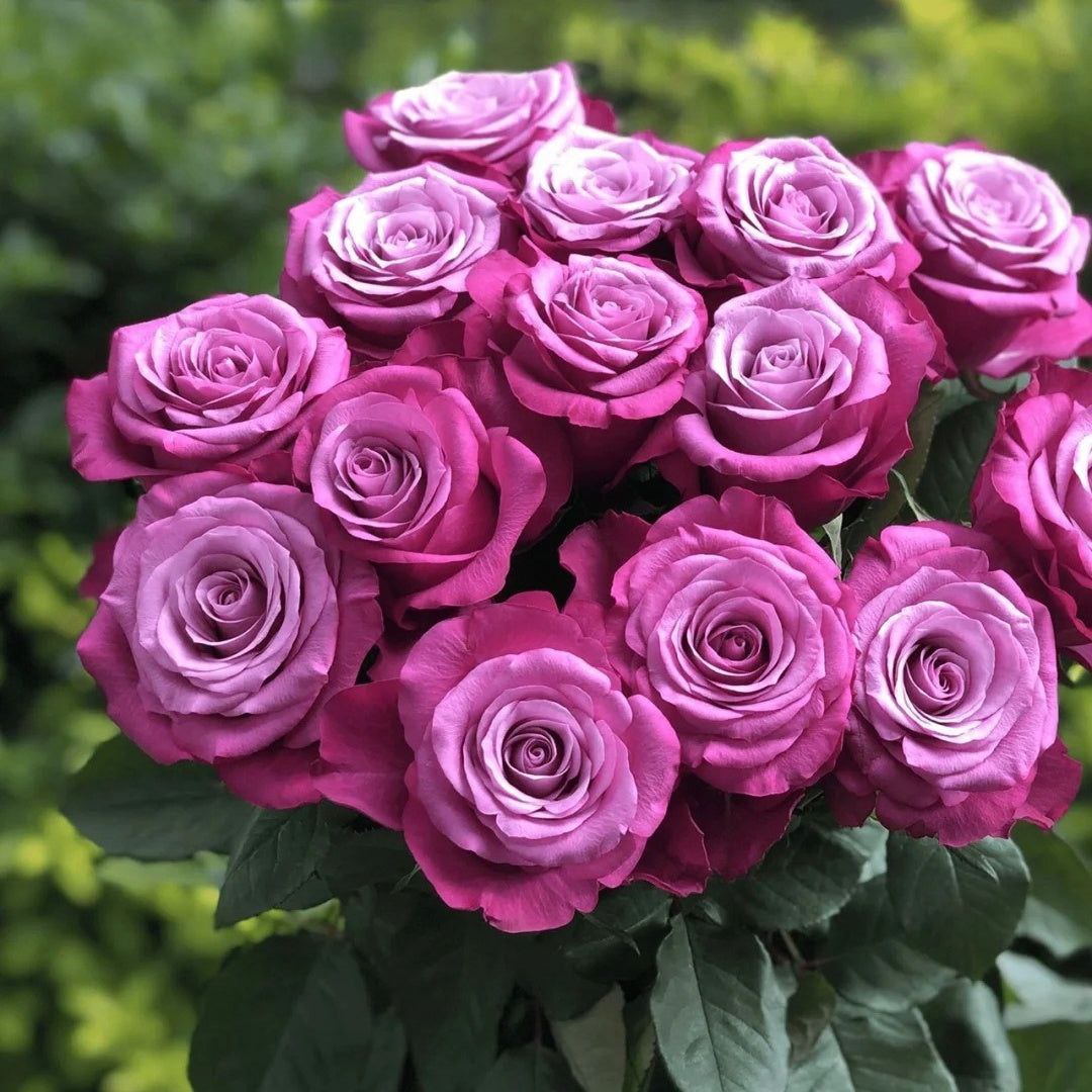 Принц Персії (Prince Persia)