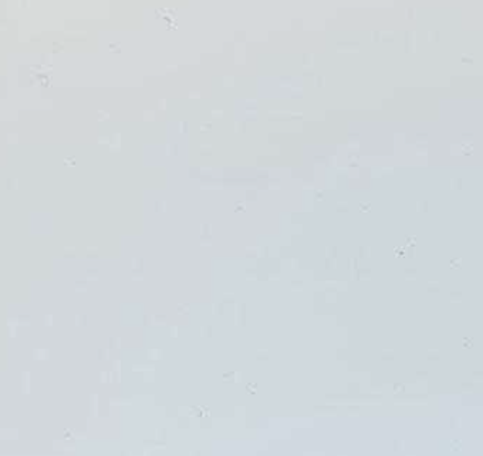 Дерев'яні жалюзі Snow