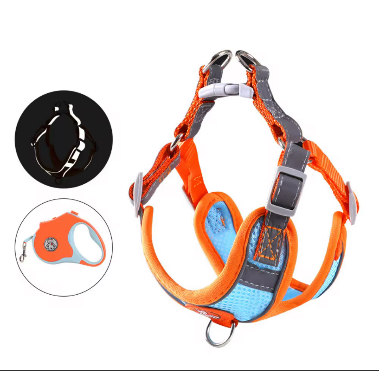 Nylon Everyday Harness Leash Set