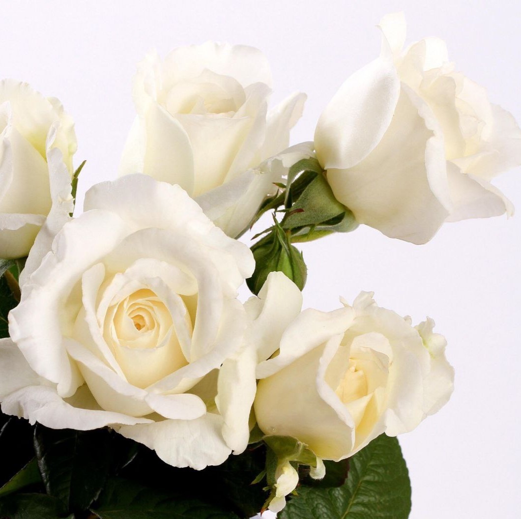 Анна Київська (Anne de Kiev)