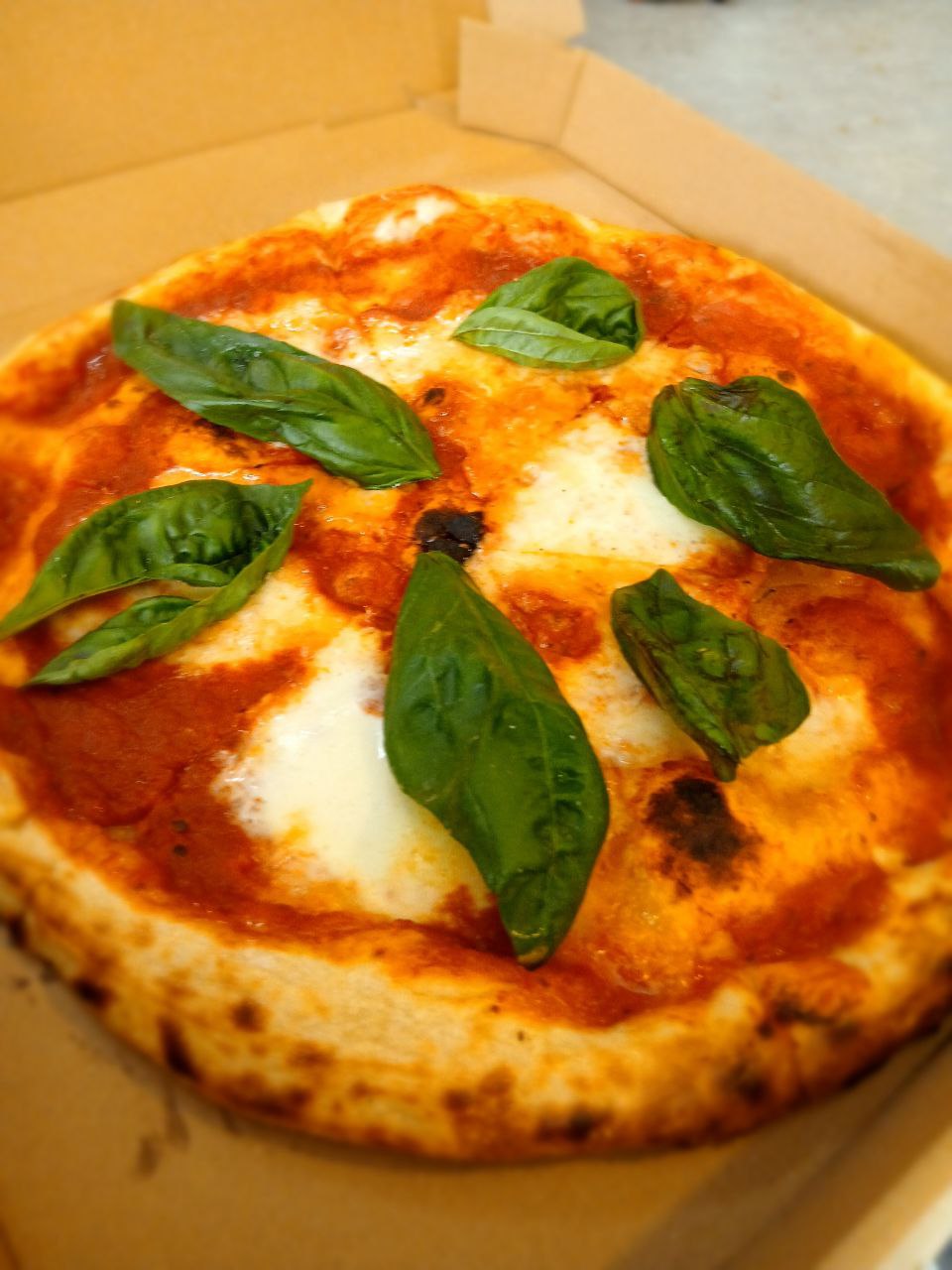 Pizza Margherita