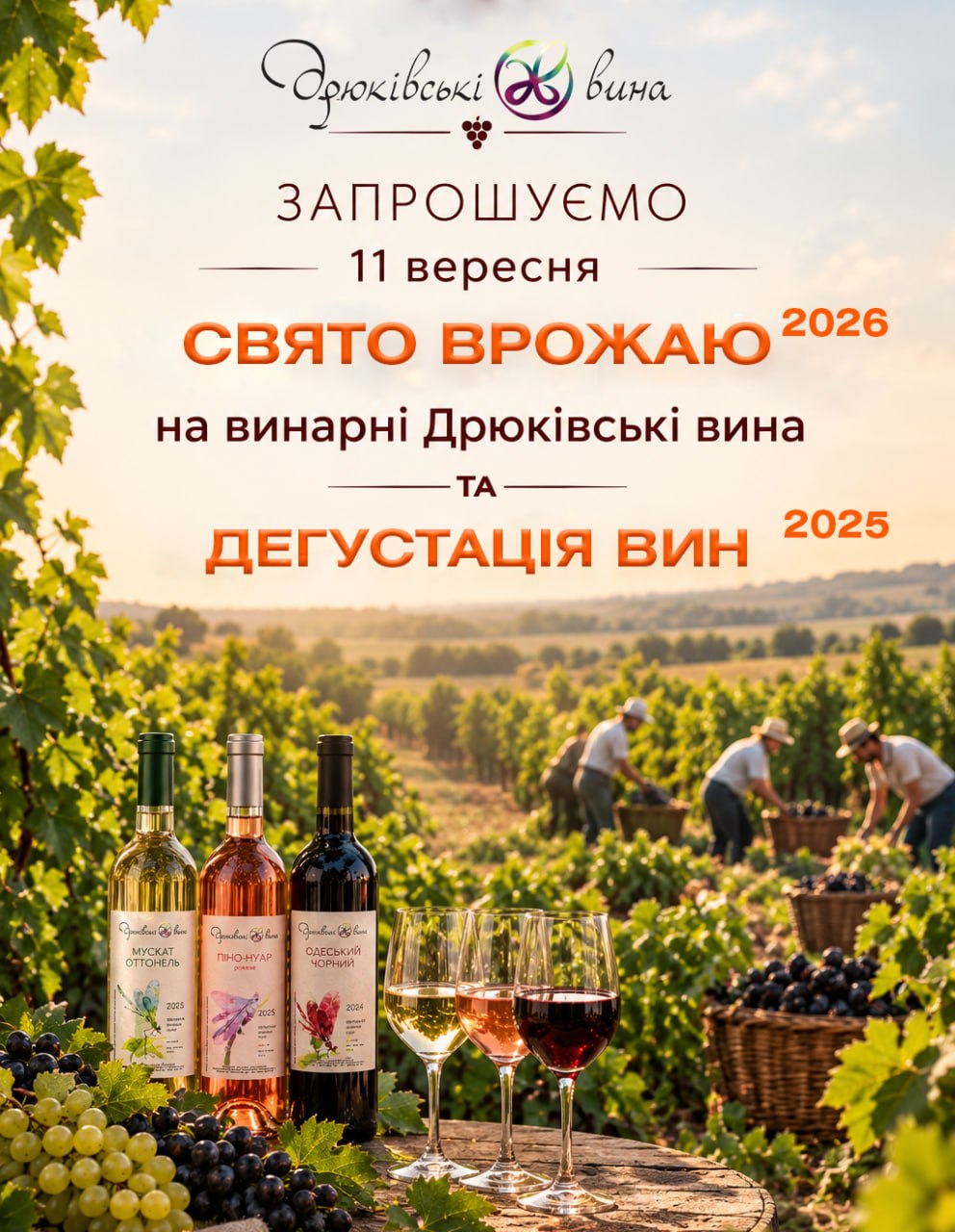 Свято врожаю та дегустація на винарні «Дрюківські вина»  20 вересня 2026