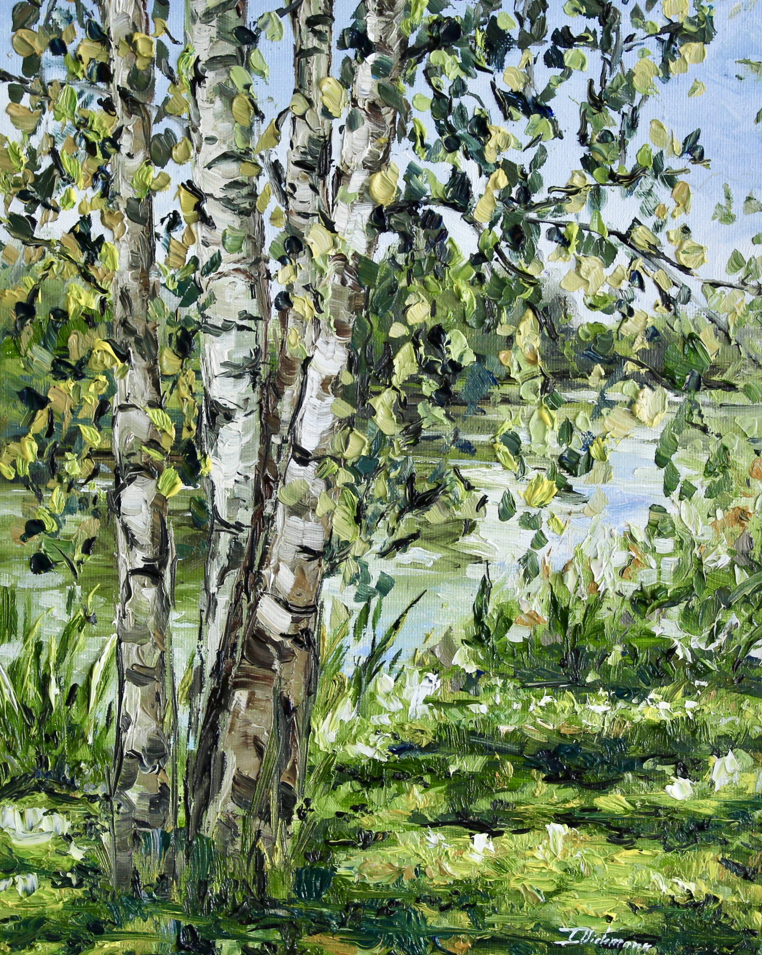 Birch Trees by the Water