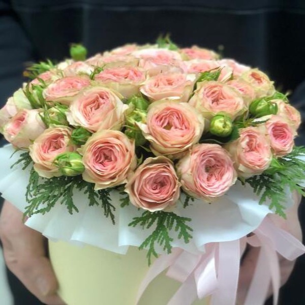 Балерина Саммерхаус — Ballerina Summerhouse