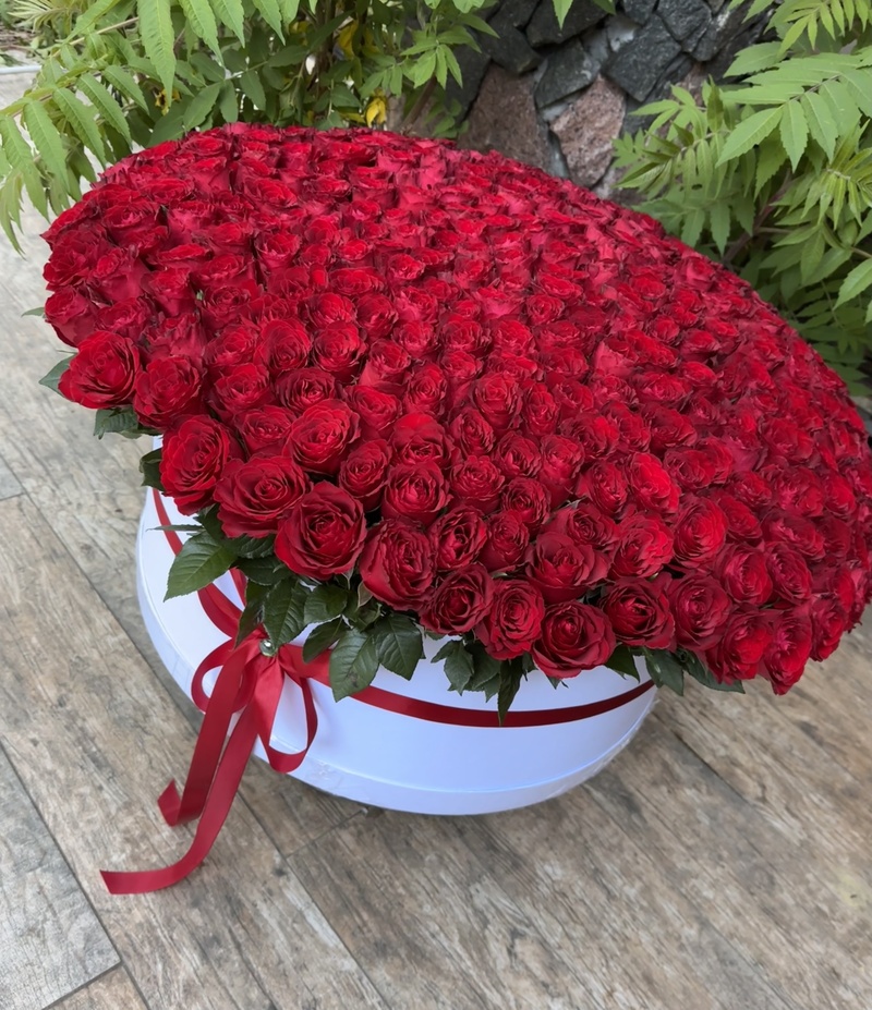 Композиція в коробці з 301 імпортної червоної троянди