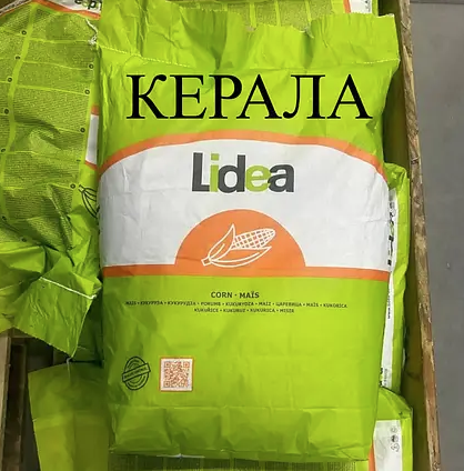 Насіння кукурудзи гібрид ЄС Керала ФАО 370 Кукурудза високої врожайності