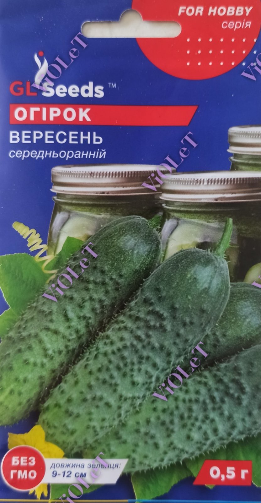 Огірок Вересень, 0,5 г GL Seeds