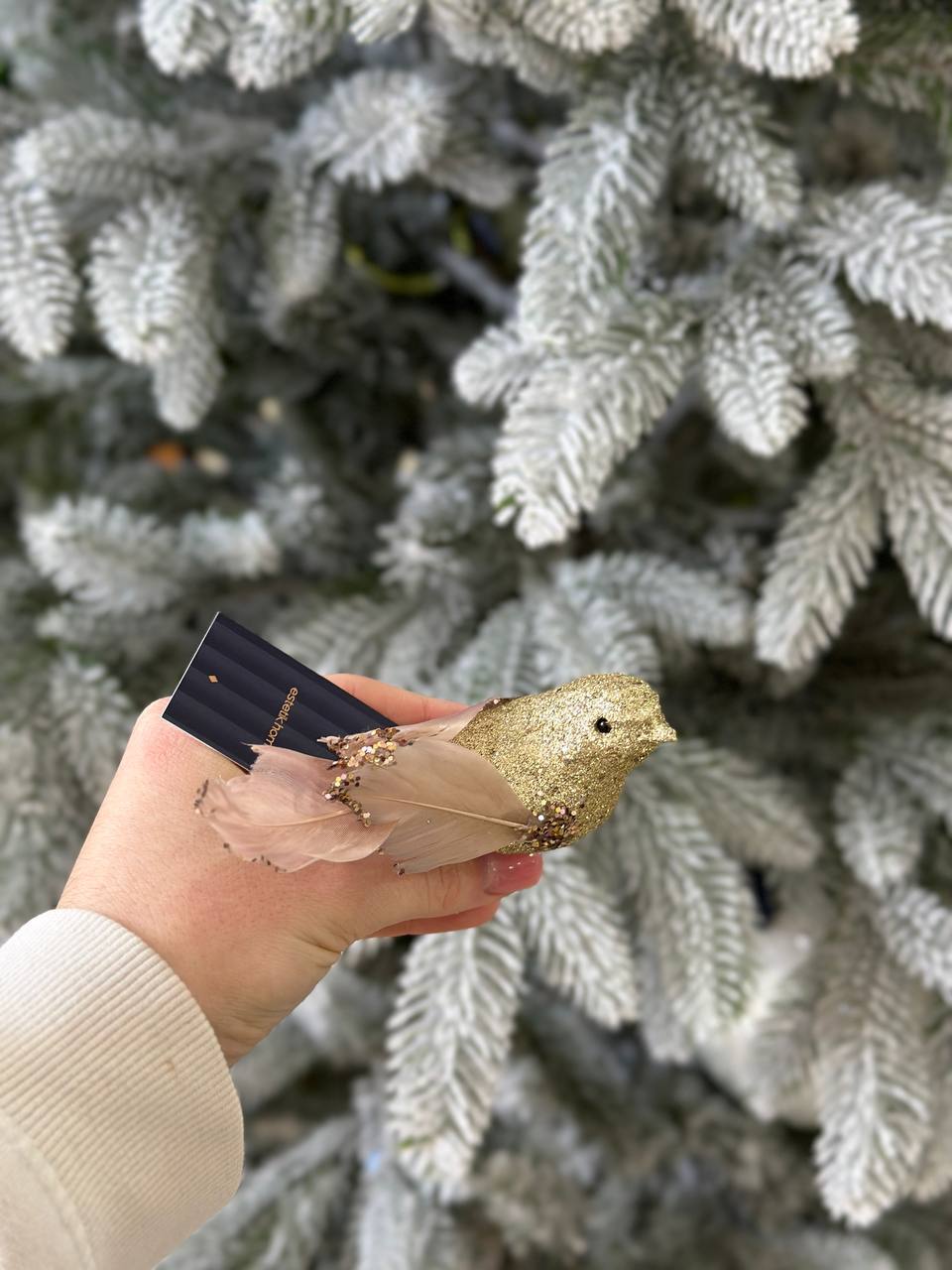 Декоративний птах на кліпсі, 10 см, 2 дизайни