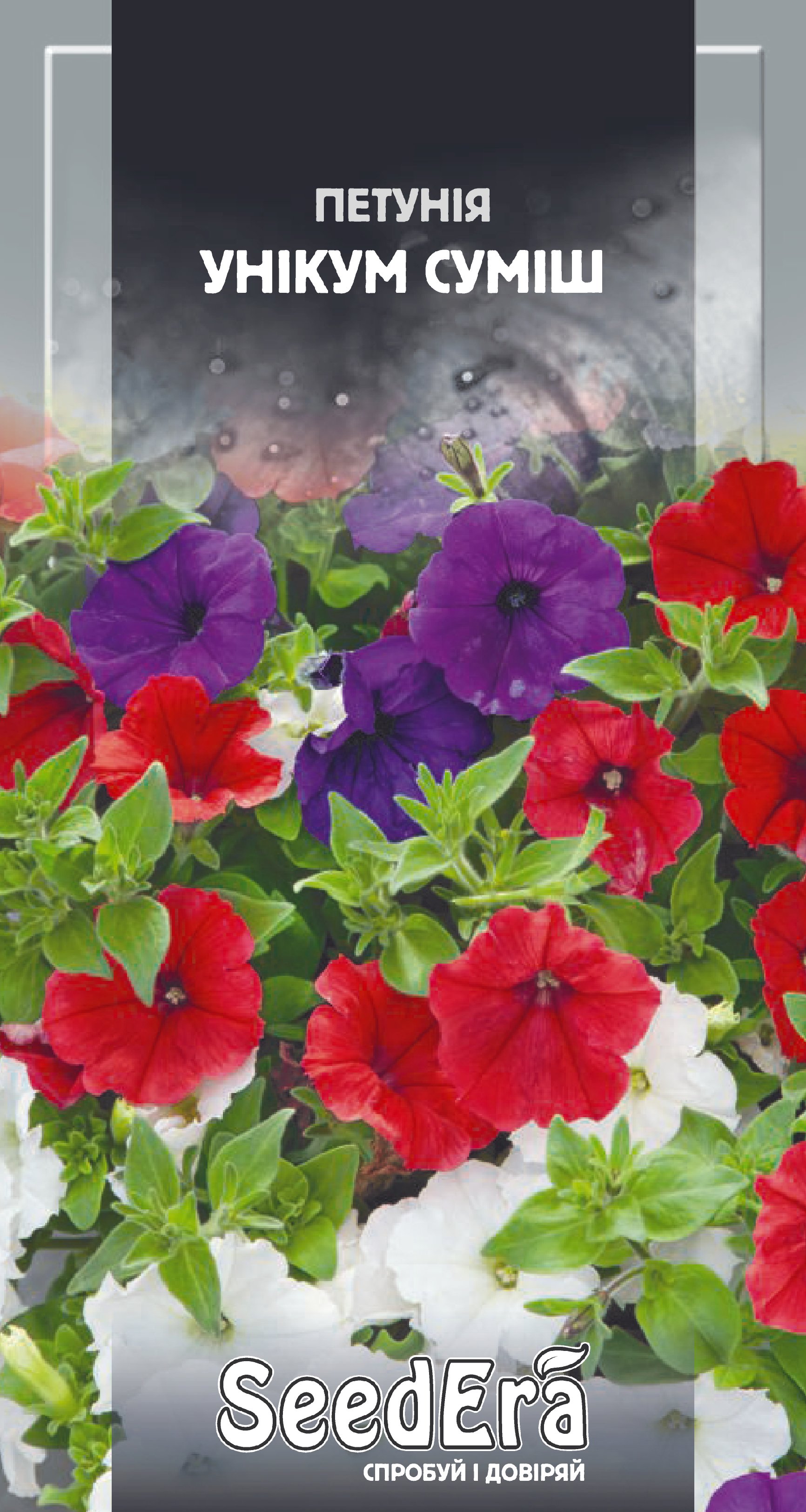 Насіння Квіти Петунія низькоросла Унікум суміш, 0,1 г