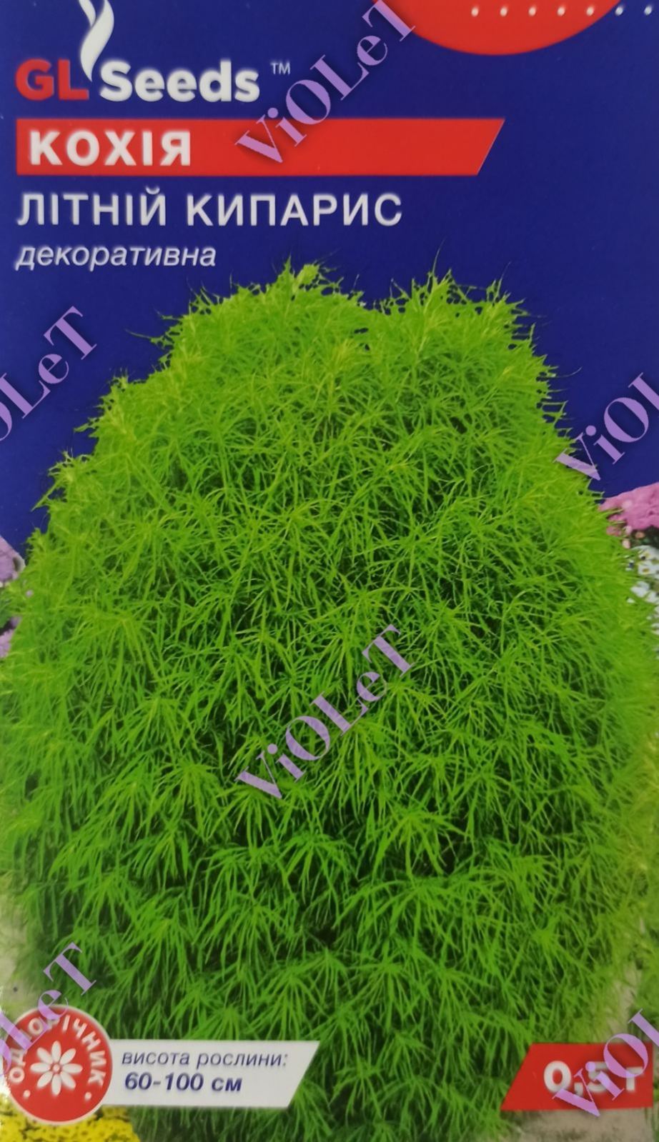 Кохія Літній Кипарис декоративний, 0,5 г GL Seeds