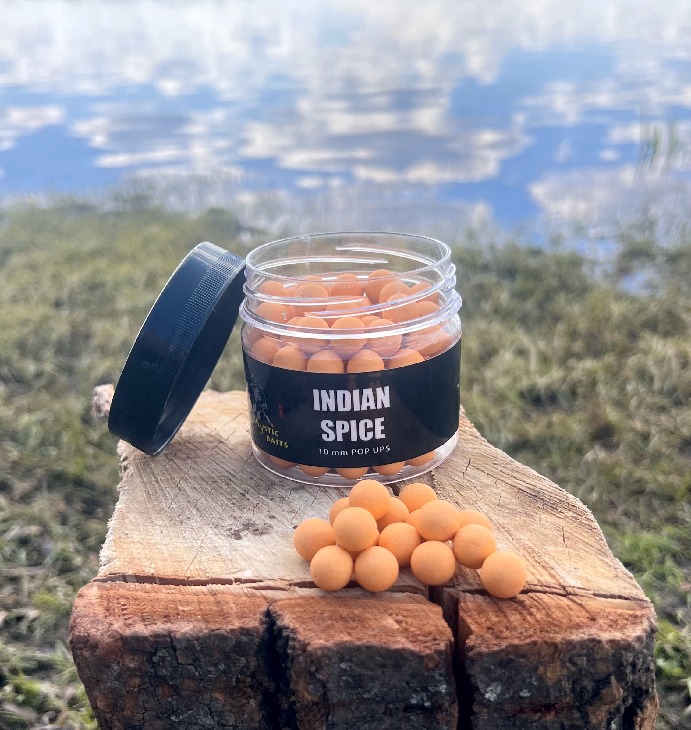 Плаваючі бойли Indian spice Pop-ups 10мм.8мм.6мм.