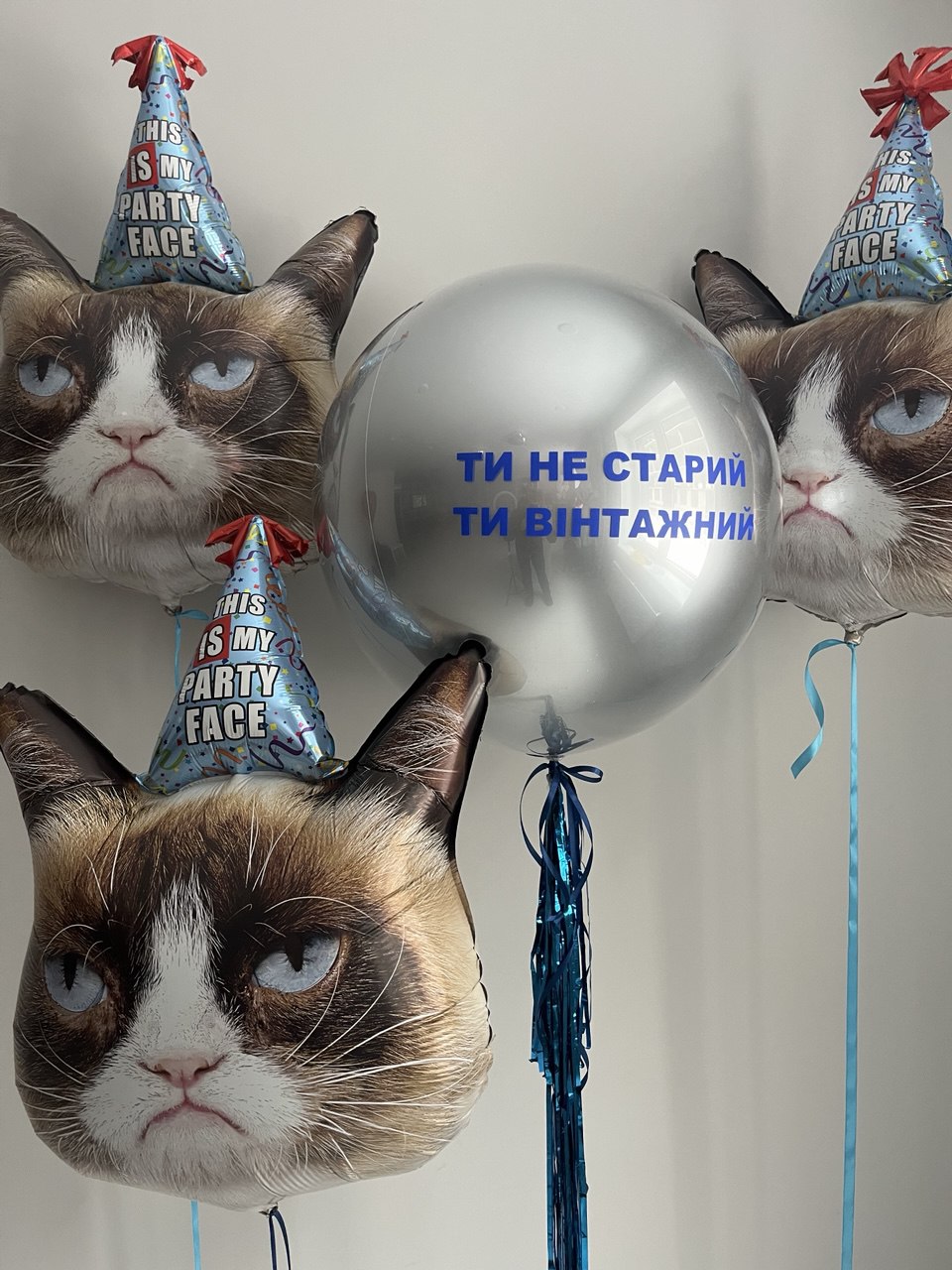 Сет Вінтажний котик