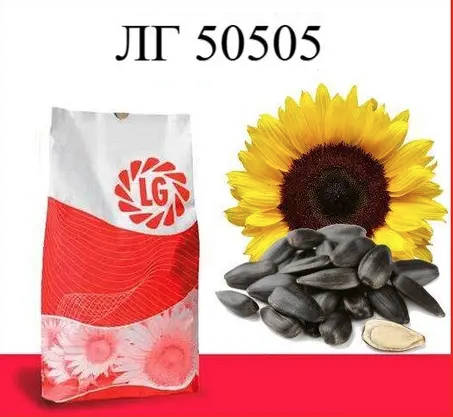 Насіння соняшнику ЛГ 50505 Limagrain, насіння високоврожайного соняшнику Лімагрейн