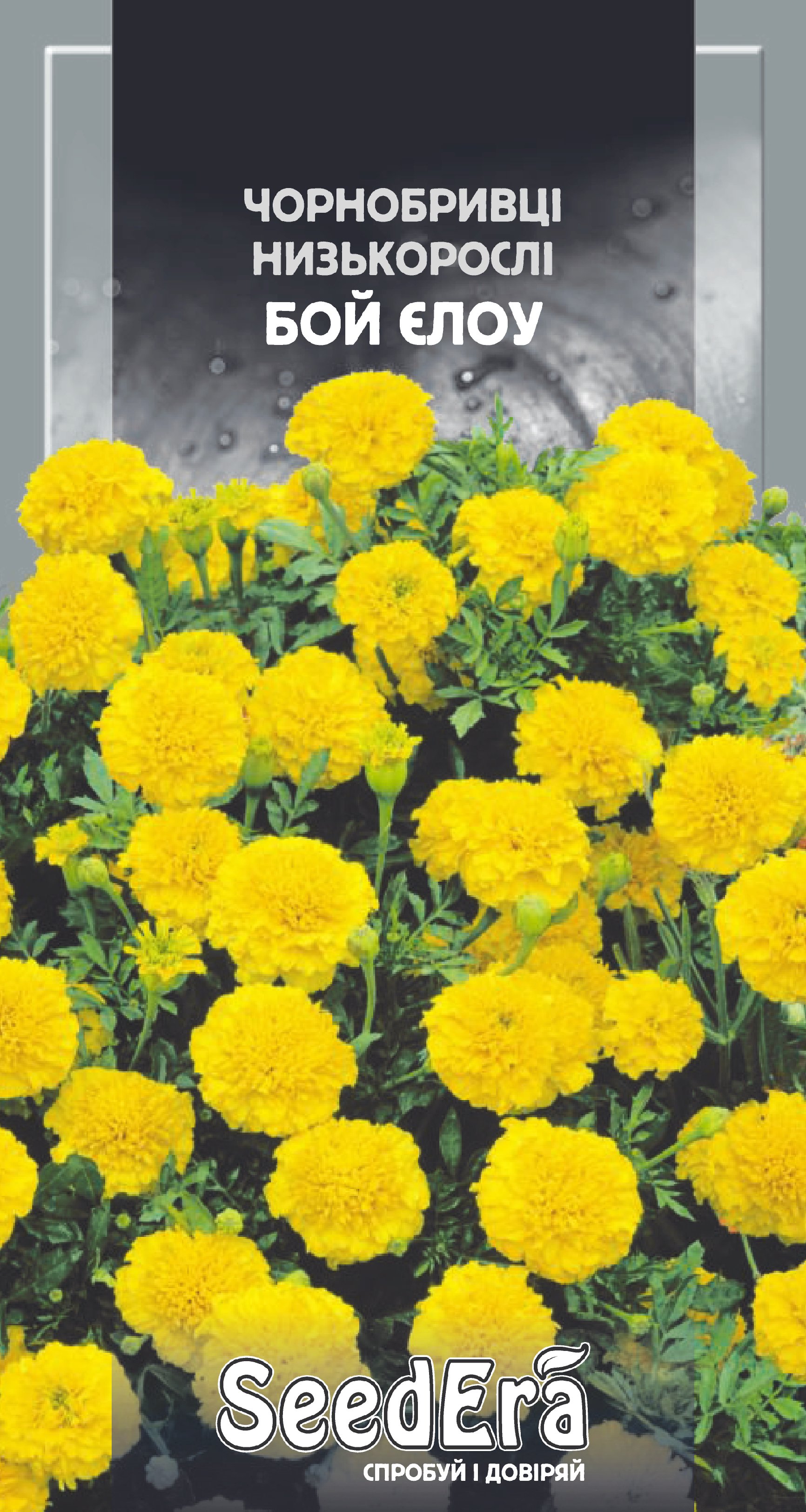 Насіння Квіти Чорнобривці низькоросла Бой Єлоу, 0,3 г