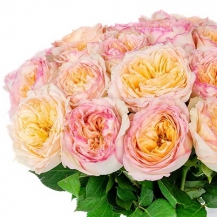 Флешбек Саммерхаус (Flashback Sum...)