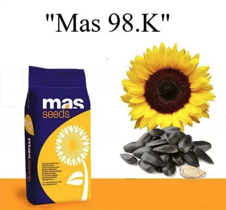 Насіння соняшнику MAS 98.K MAS Seeds, насіння високоврожайного соняшнику Мас сідс