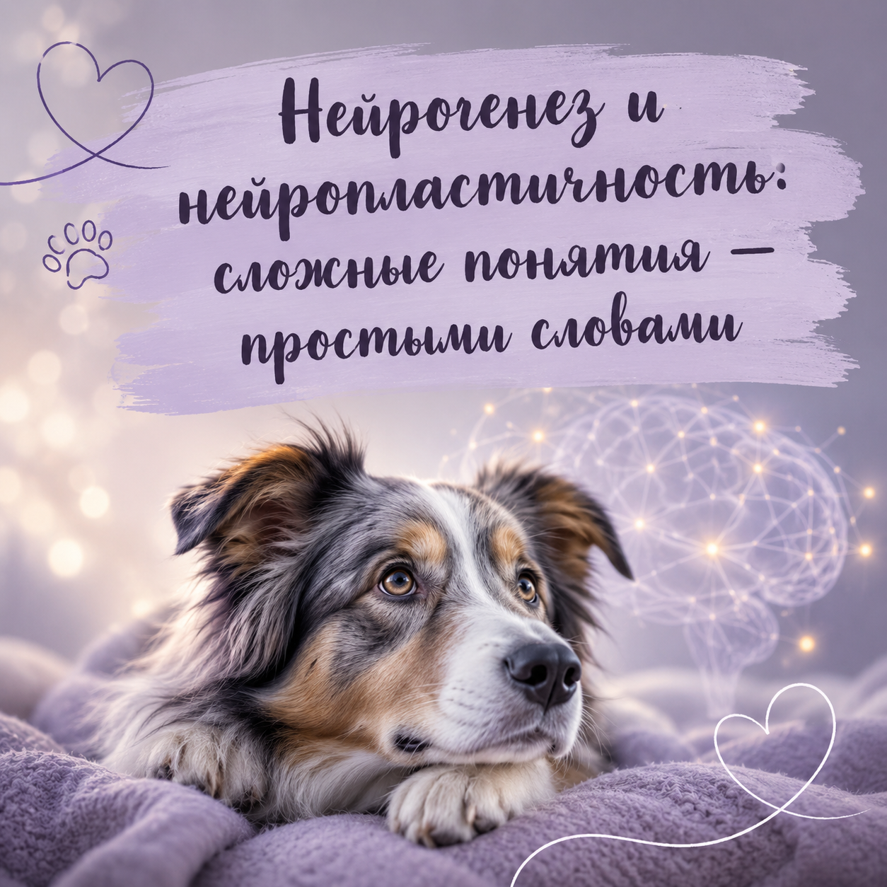 Нейрогенез и нейропластичность: сложные понятия - простыми словами