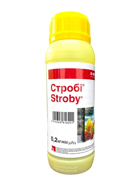 Фунгіцид Стробі BASF 0,2 кг