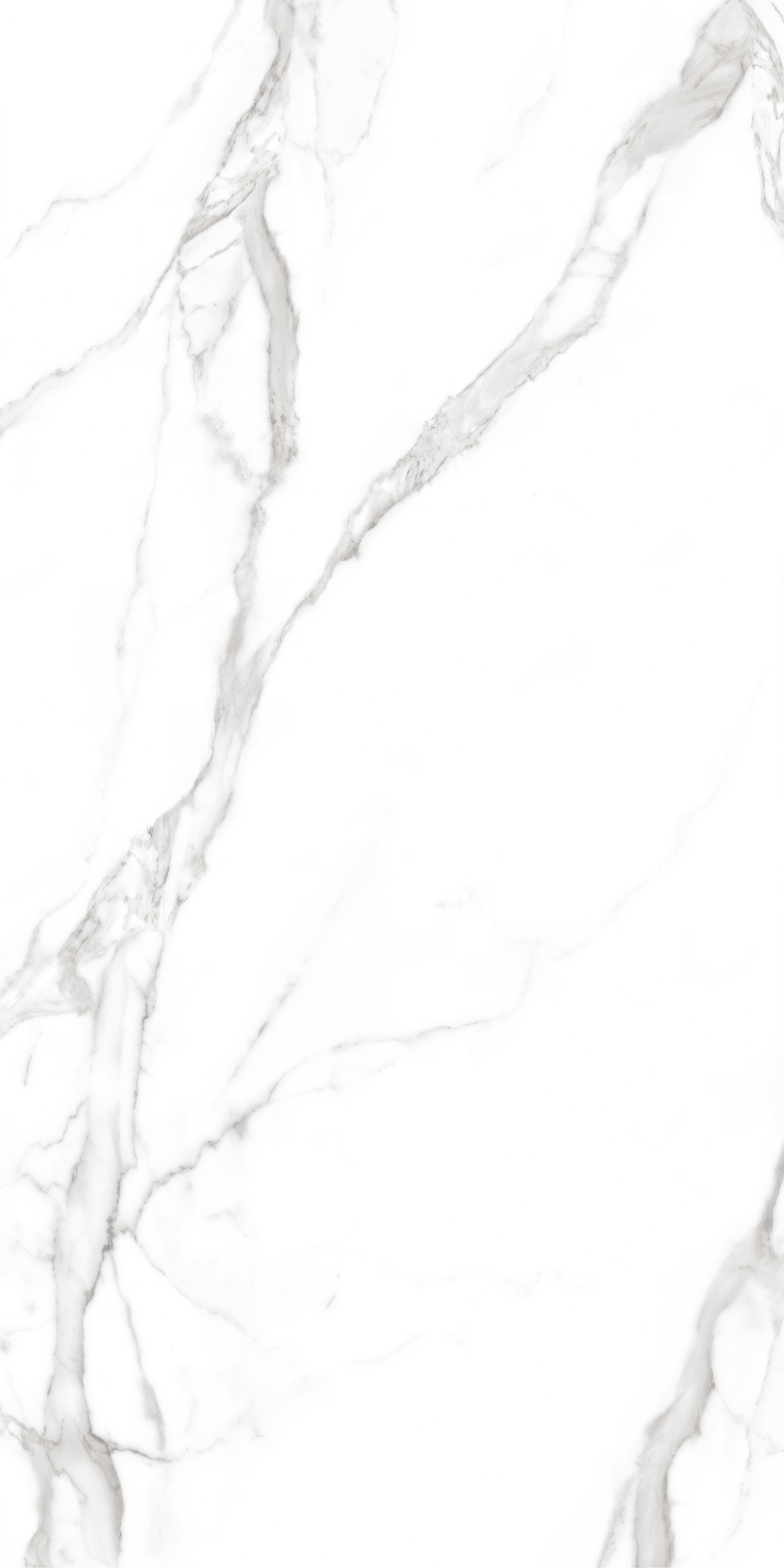 Плитка Carrara White Full Lappato 600x1200x8 мм