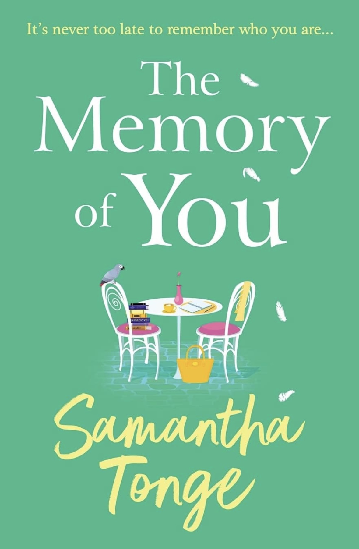 The Memory of You Samantha Tonge