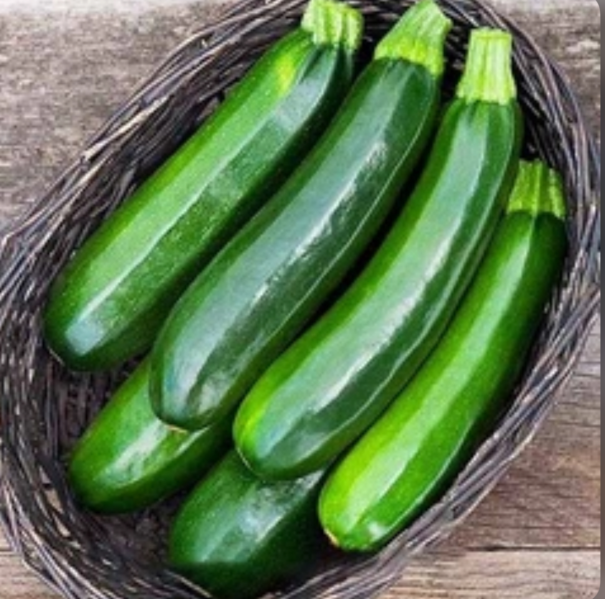 Кабачок Амбасадор