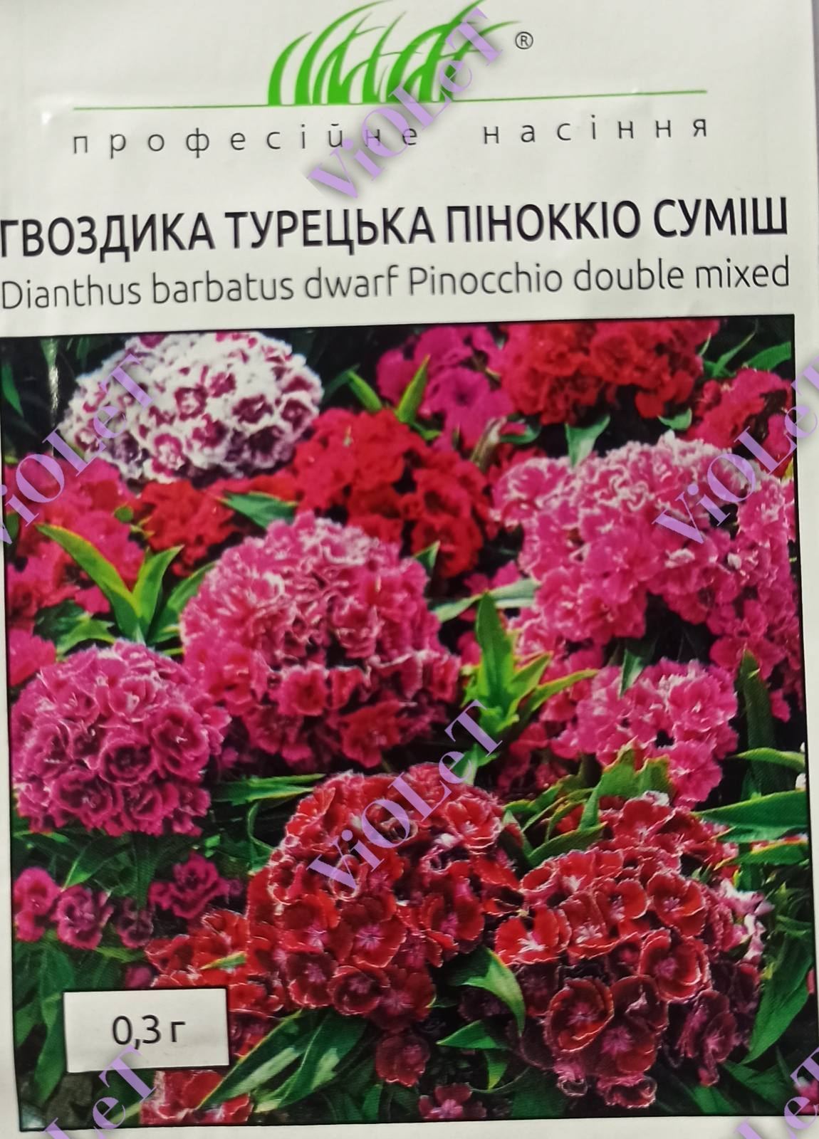 Гвоздика Турецька Піноккіо суміш, 0,3 г Професійне насіння