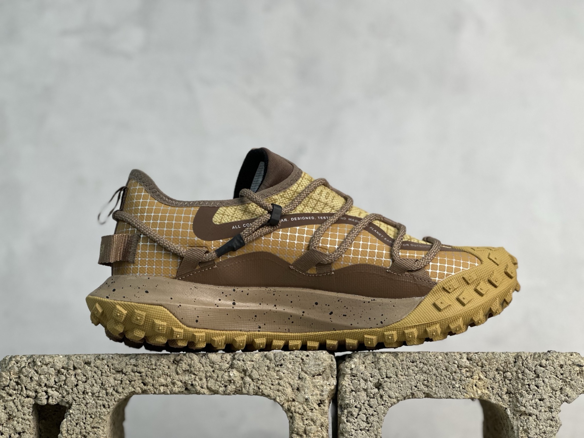 Nike ACG Mountain Fly Low GTX SE DD2861-007
