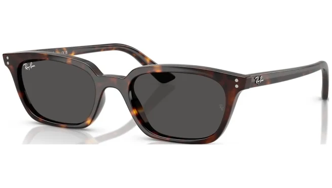 RAY-BAN RB 4456 135987 53