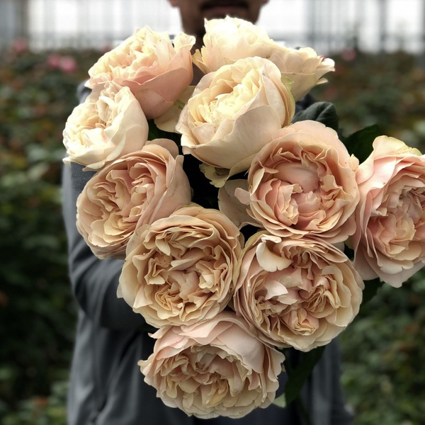 Анфогетбл — Unforgettable