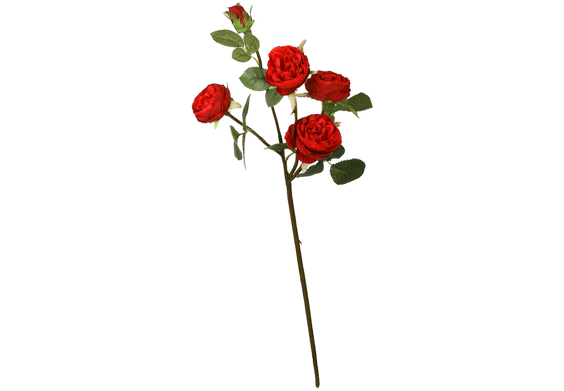 Троянда на стеблі червона